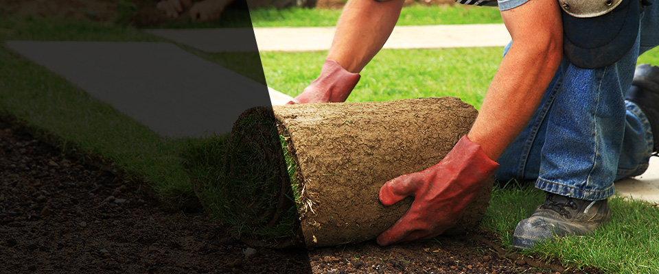 Alfred Landscapers